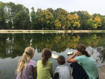 Peaceful lake